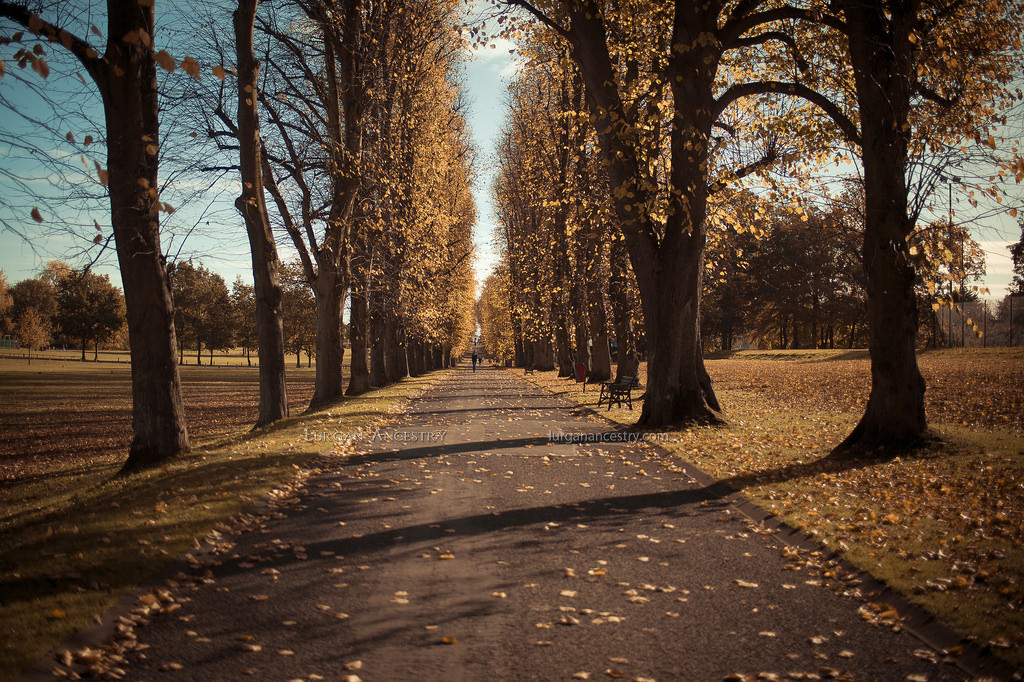 Lurgan Park